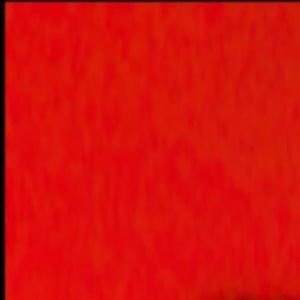 Meet your Posher, Anne